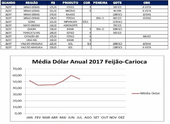 Relatório do feijão 27/07