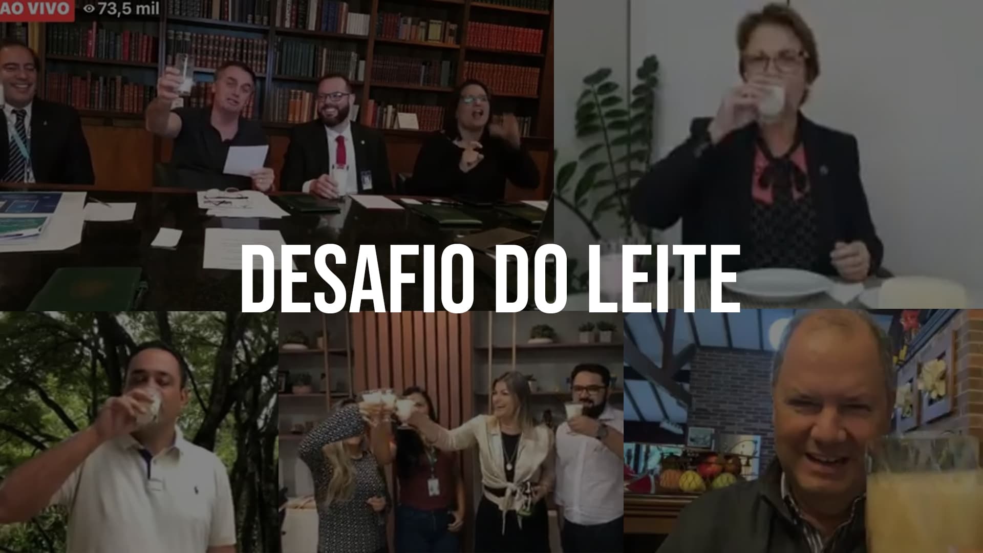 desafio do leite