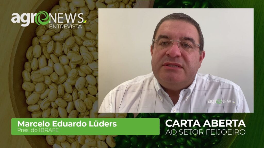 Feijão tem menor área plantada dos últimos 30 anos e preocupa setor - Marcelo Luders IBRAFE