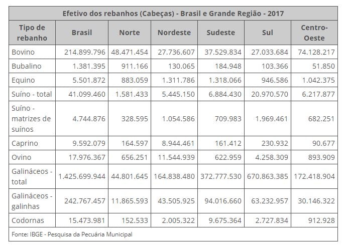 Mato Grosso lidera rebanho bovino brasileiro