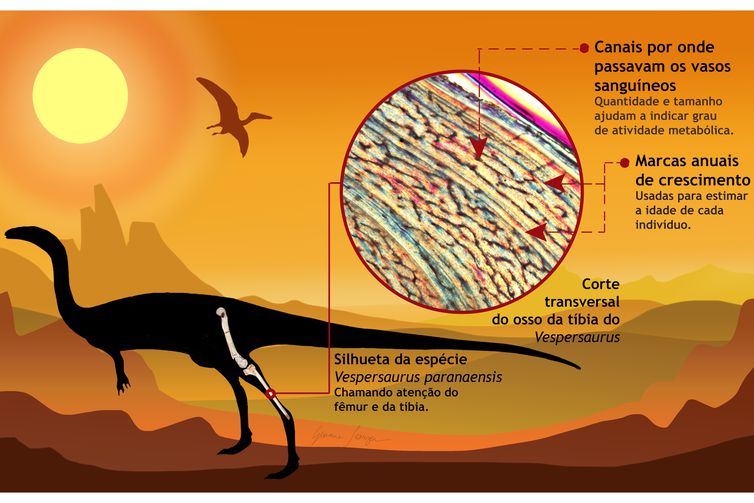 Reconstrução do dinossauro - Arte de Geovane Souza