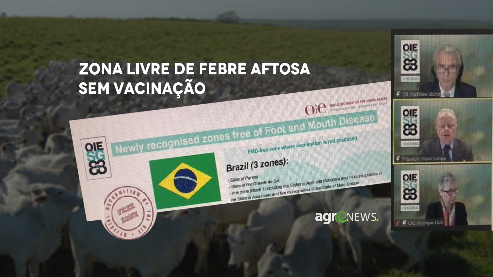 Zona livre de febre aftosa sem vacinação