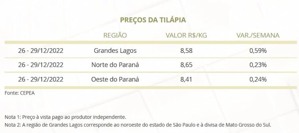 Mercado do Peixe 31 de dezembro 2022, novo ministro da pesca